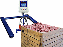 Palletweger PW II HM10 ASX Met Kubbkist